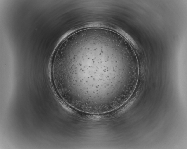 X0000116620854200912111155