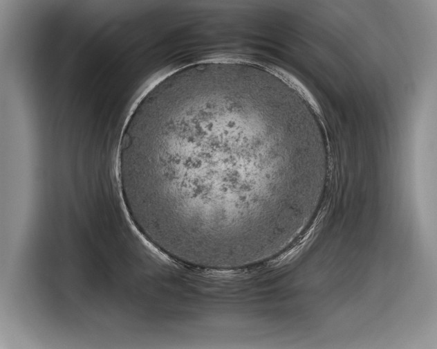 X0000116620855200912111155