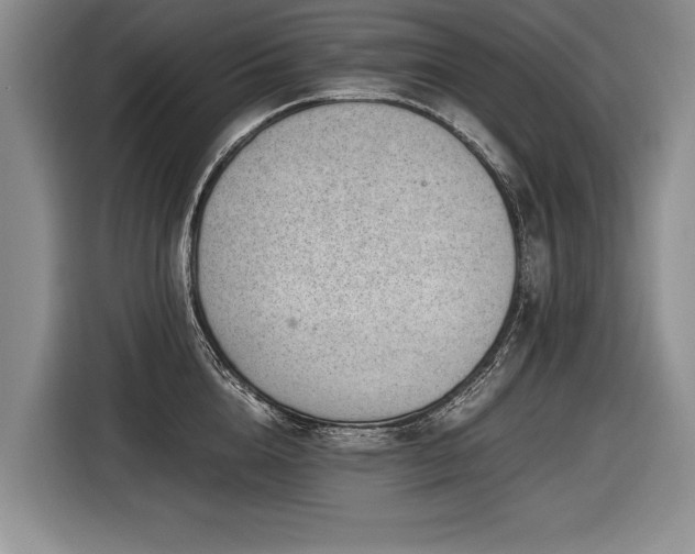 X0000116620856200912111155