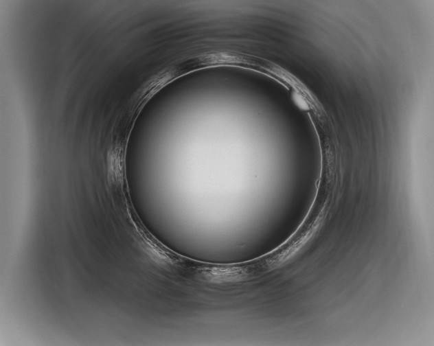 X0000116620857200912111155