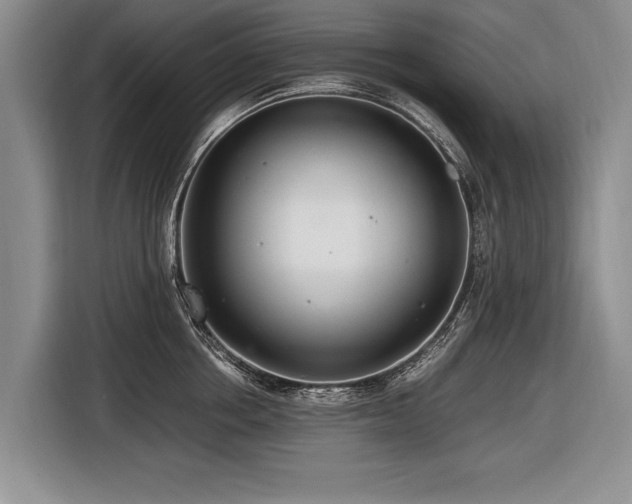 X0000116620858200912111155