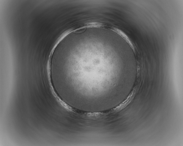 X0000116620859200912111155