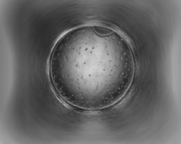 X0000116620862200912111155
