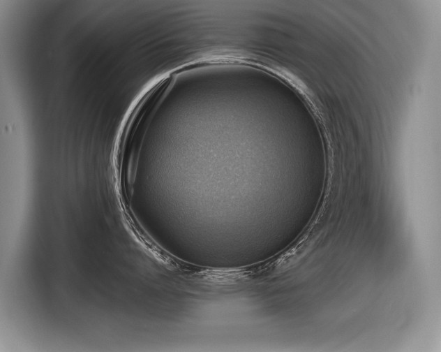 X0000116620864200912111155