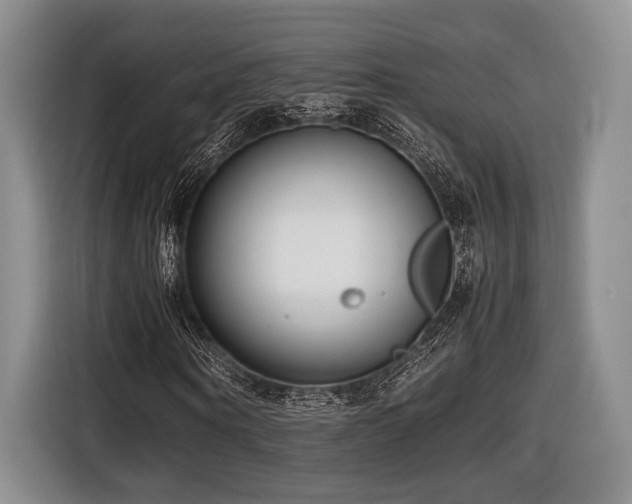 X0000116620866200912111154