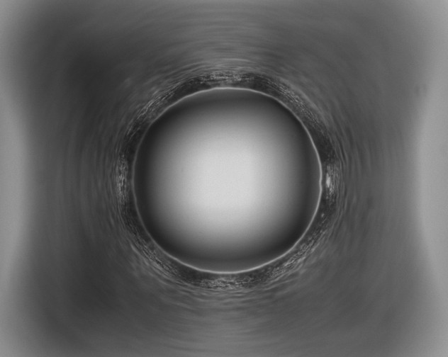 X0000116620867200912111154