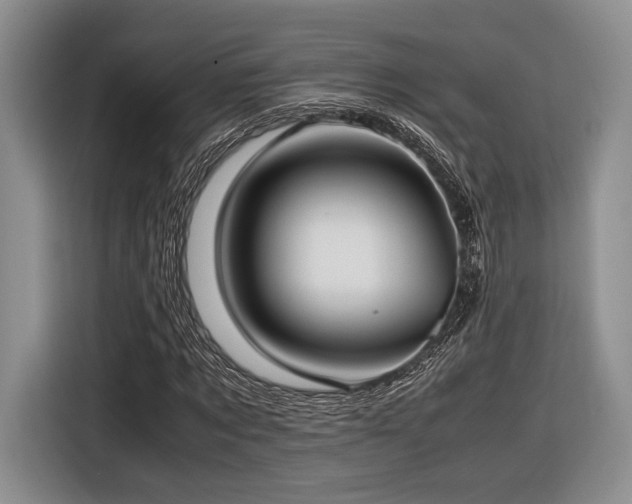 X0000116620869200912111154