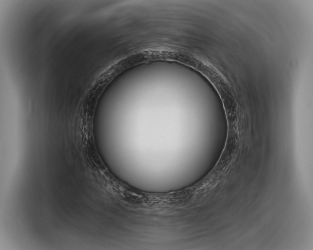 X0000116620870200912111154