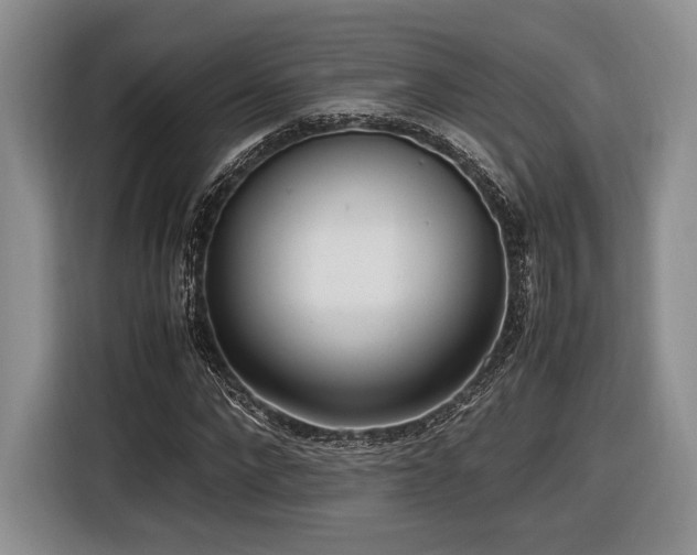 X0000116620872200912111154