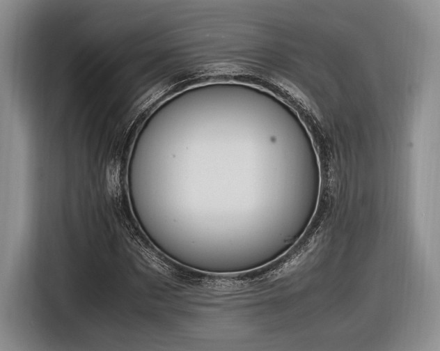X0000116620873200912111154