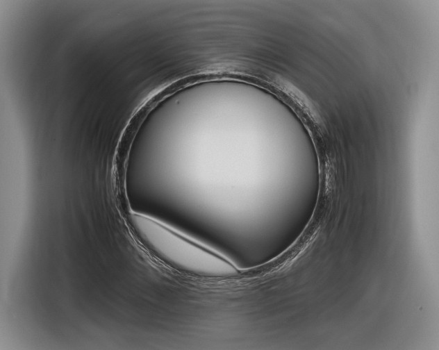 X0000116620876200912111154