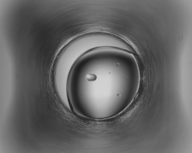 X0000116620877200912111154