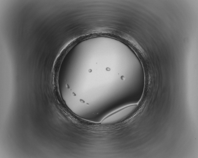X0000116620878200912111154