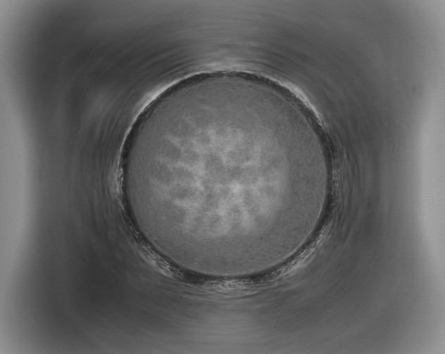 X0000116620879200912111154