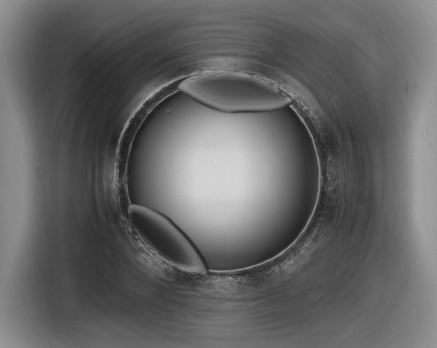 X0000116620880200912111154