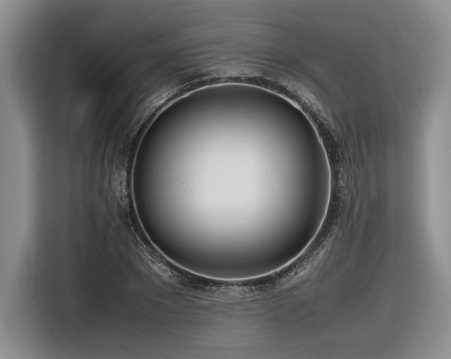 X0000116620881200912111154