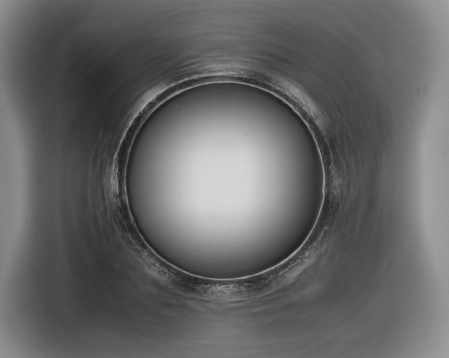 X0000116620883200912111154