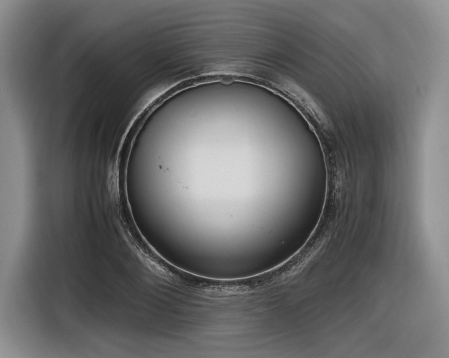 X0000116620884200912111154