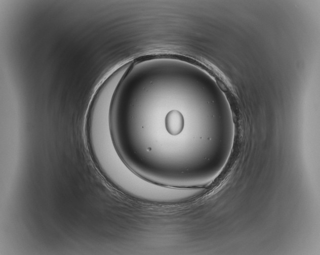 X0000116620885200912111154