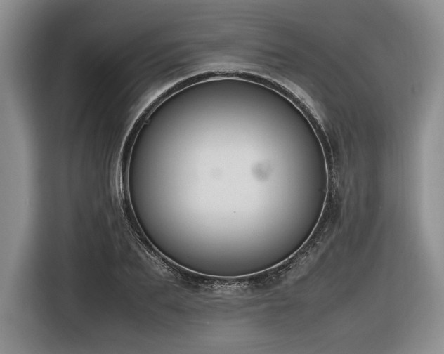 X0000116620887200912111154