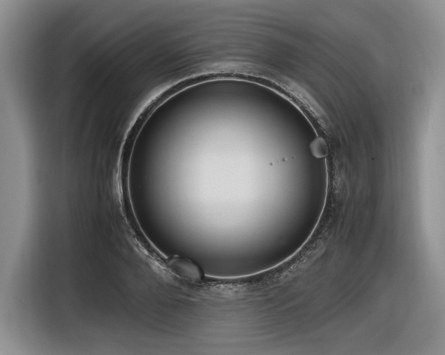X0000116620888200912111154