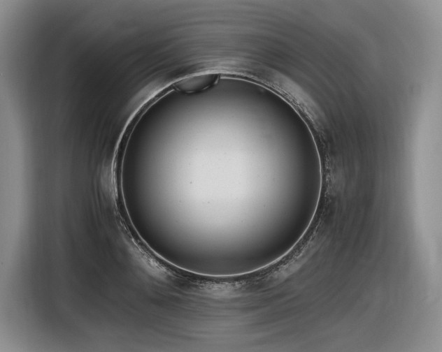 X0000116620892200912111154