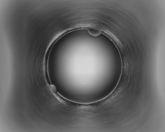 X0000116620894200912111154
