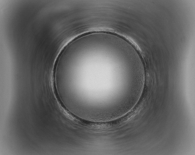 X0000116620895200912111154