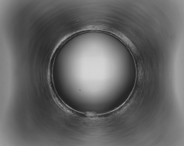 X0000116620896200912111154