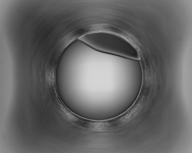 X0000116620897200912111154