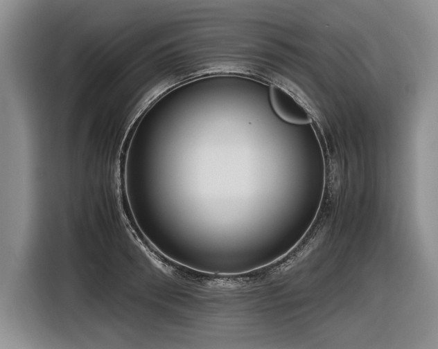 X0000116620898200912111154
