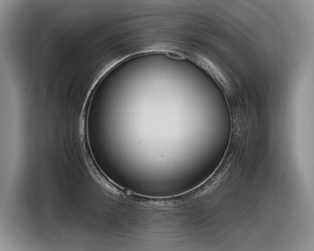 X0000116620900200912111154
