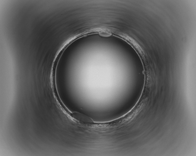 X0000116620902200912111154
