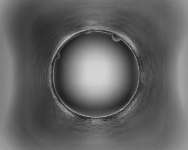 X0000116620903200912111154