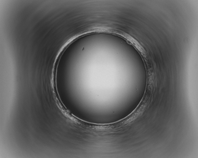 X0000116620904200912111154