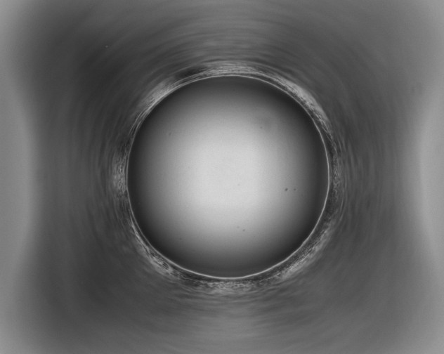 X0000116620905200912111154