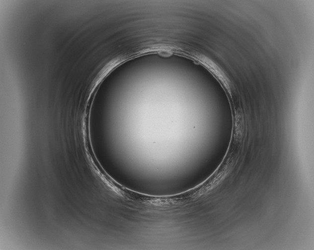 X0000116620906200912111154