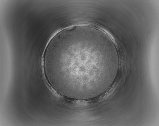 X0000116620907200912111154