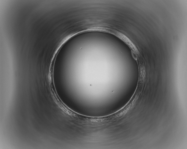 X0000116620908200912111154
