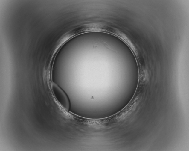 X0000116620909200912111154