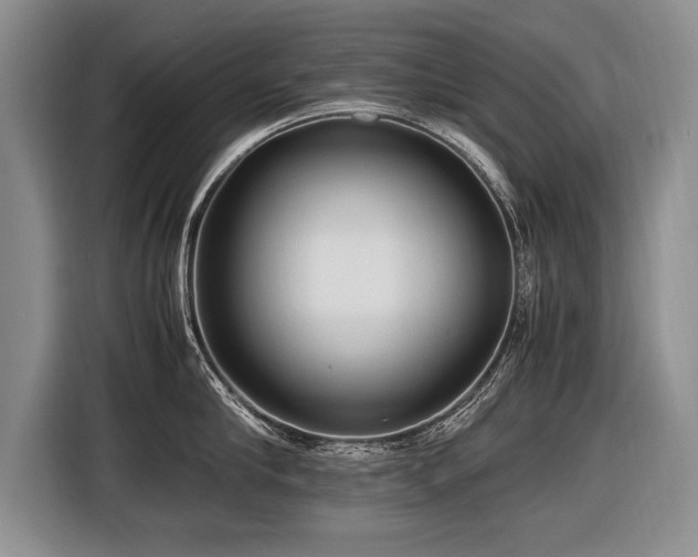 X0000116620910200912111154