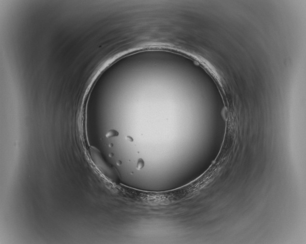 X0000116620911200912111154