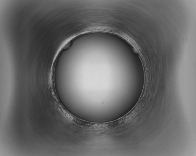 X0000116620912200912111154