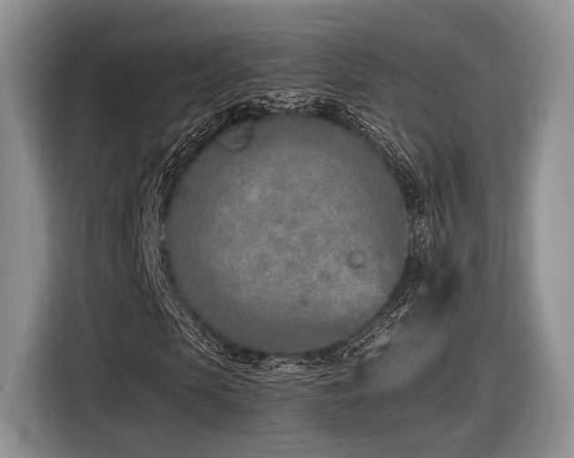 X0000116620913200912111153
