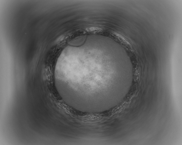 X0000116620917200912111153