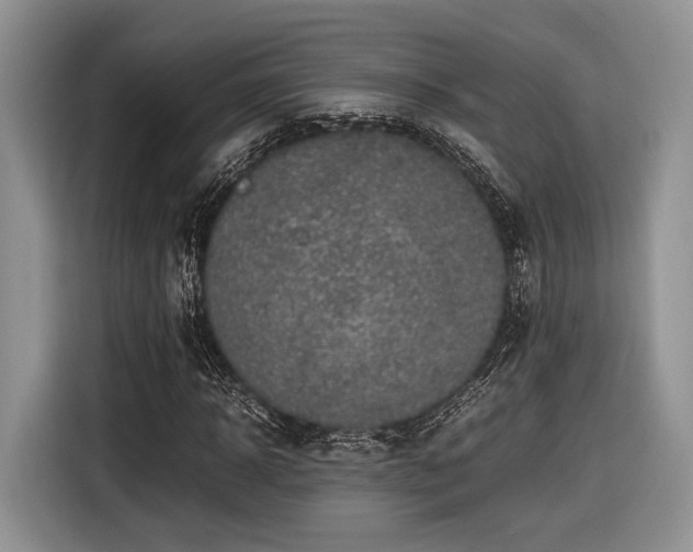 X0000116620918200912111153