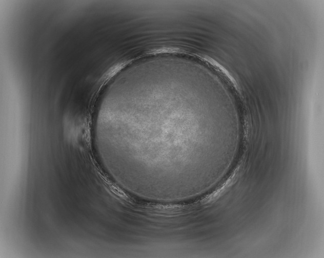 X0000116620921200912111153