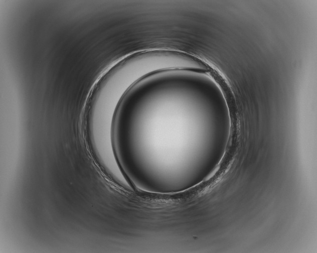X0000116620925200912111153