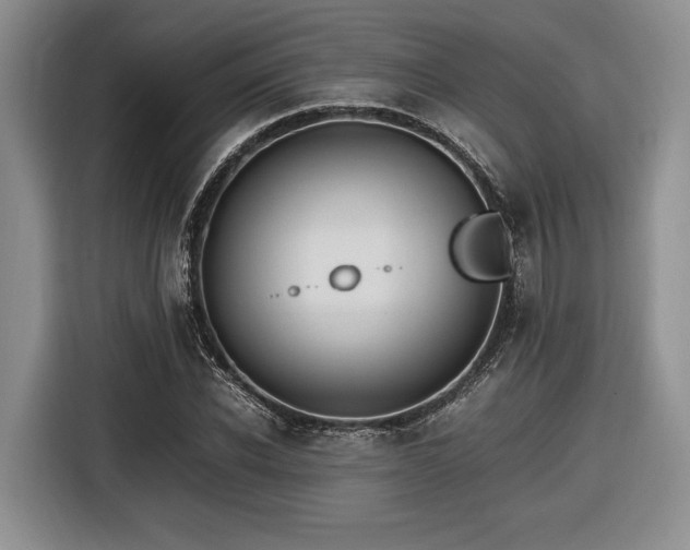 X0000116620926200912111153