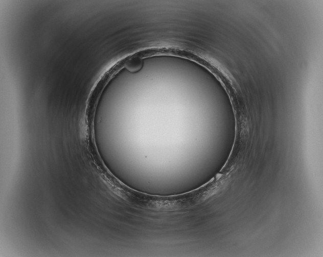 X0000116620927200912111153